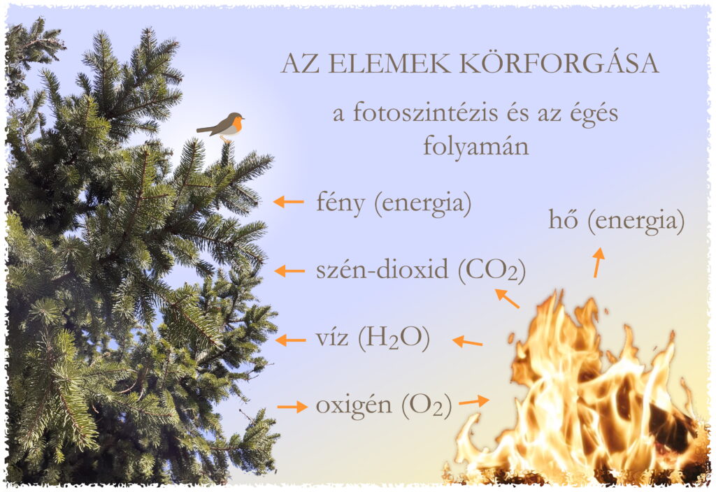 Az elemek körforgása a fotoszintézis és az égés folyamán - Bakony Tűzifa